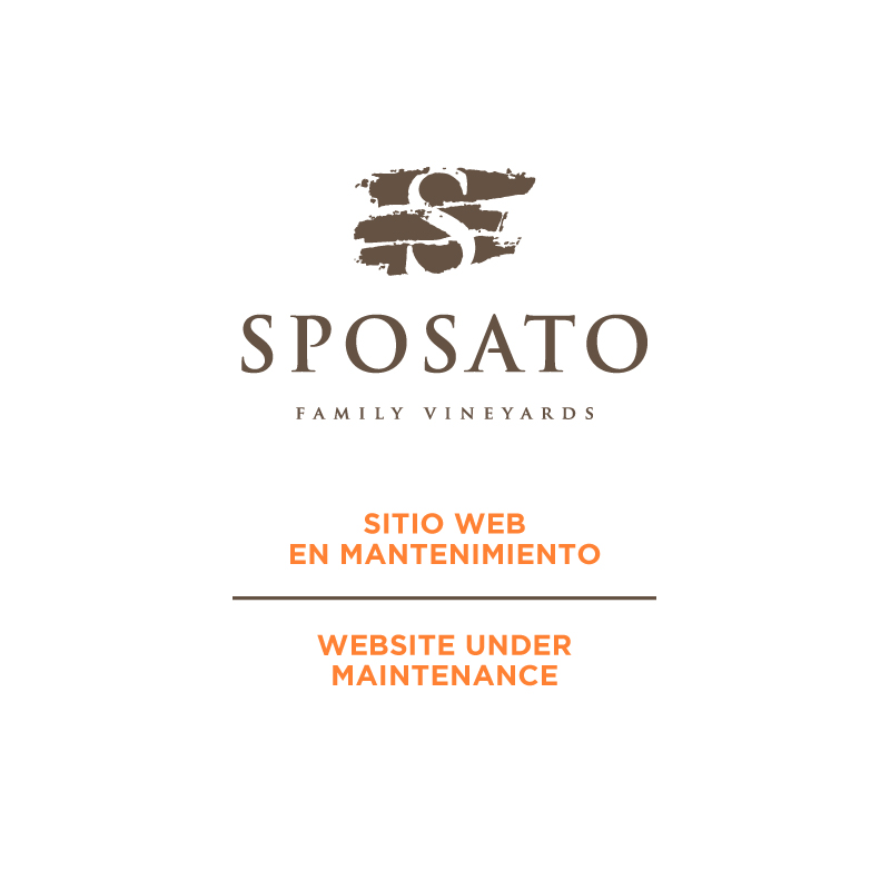 Sitio web en mantenimiento / Website under maintenance